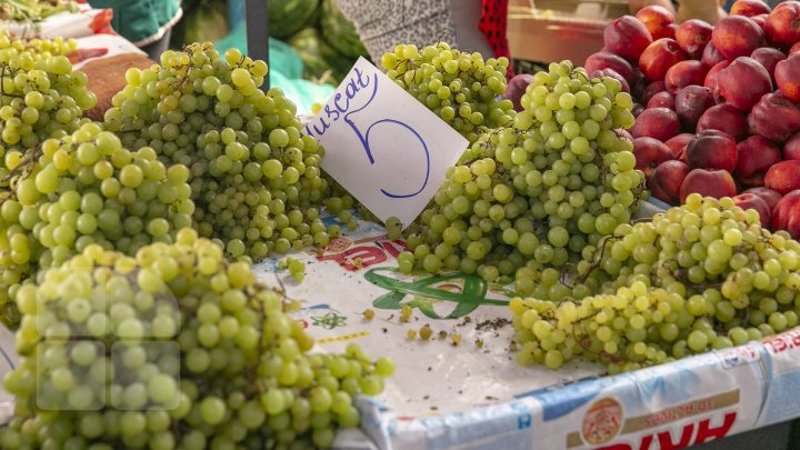 Îţi lasă gura apă. Primii struguri autohtoni, deja în vanzare. Cât costă un kilogram de poamă (FOTOREPORT)