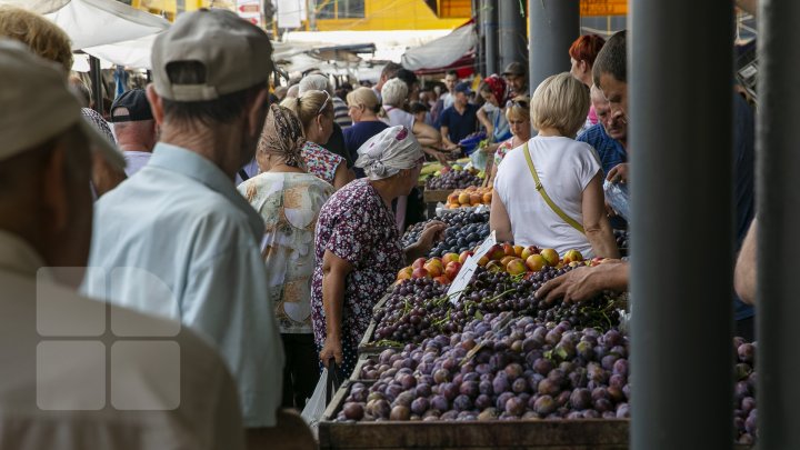 Îţi lasă gura apă. Primii struguri autohtoni, deja în vanzare. Cât costă un kilogram de poamă (FOTOREPORT)