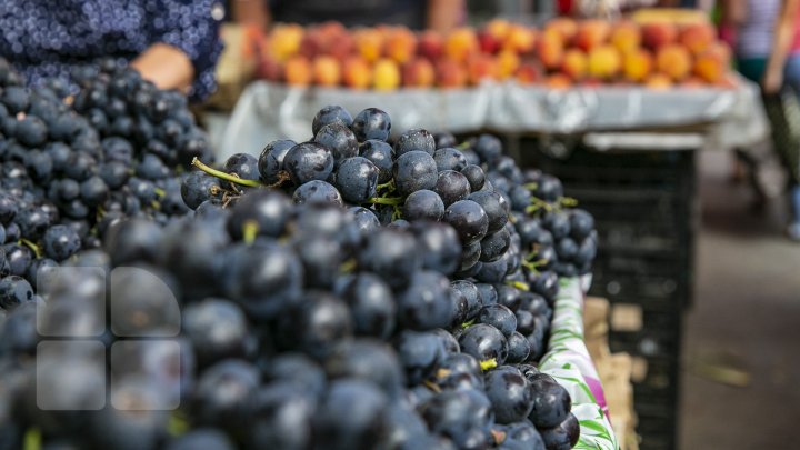 Îţi lasă gura apă. Primii struguri autohtoni, deja în vanzare. Cât costă un kilogram de poamă (FOTOREPORT)