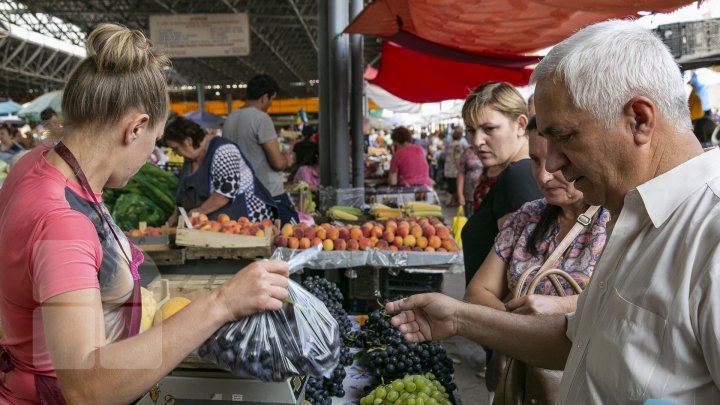 Îţi lasă gura apă. Primii struguri autohtoni, deja în vanzare. Cât costă un kilogram de poamă (FOTOREPORT)