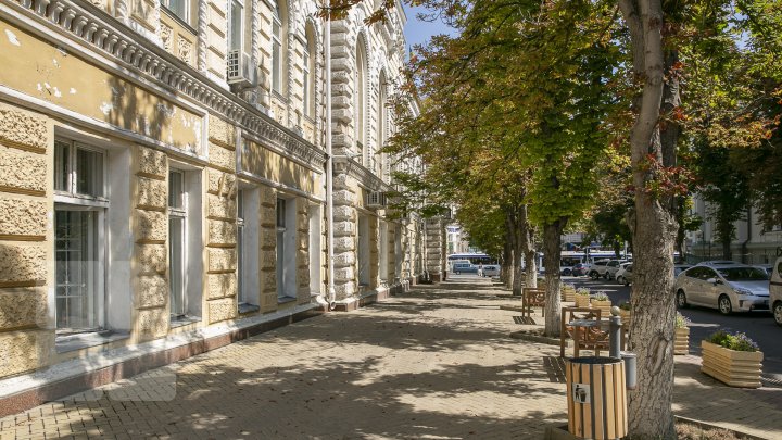 Frunzele castanilor din Capitală au devenit ruginii înainte să vină toamna. Care este cauza