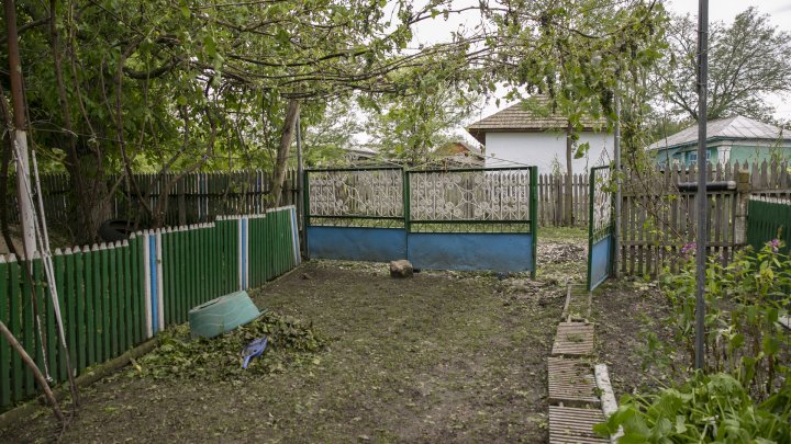 IMAGINI SUMBRE, LA CAMENCA. Ploaia cu grindină a distrus mai mulţi pomi fructiferi (FOTOREPORT)