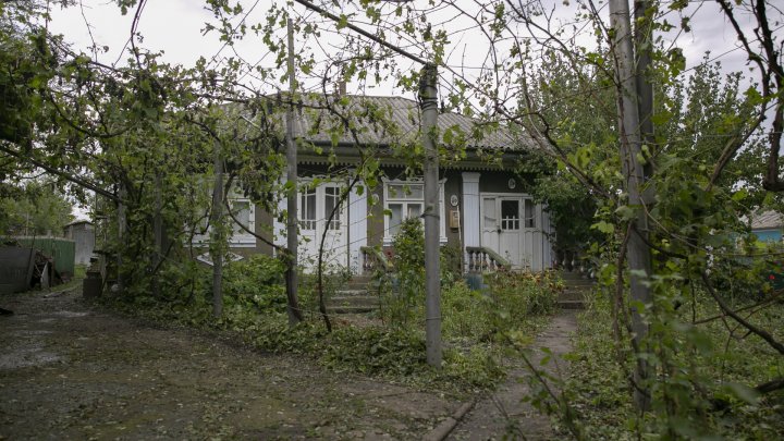 IMAGINI SUMBRE, LA CAMENCA. Ploaia cu grindină a distrus mai mulţi pomi fructiferi (FOTOREPORT)