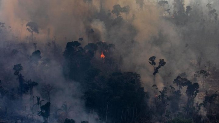 Criza de oxigen a planetei se adânceşte: Incendiile din Brazilia se extind în țările vecine (VIDEO)