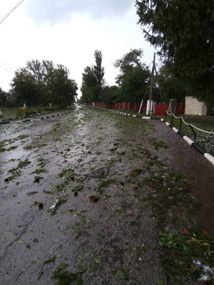 PRĂPĂD la Glodeni. O ploaie cu grindină a distrus totul în satul Camenca (IMAGINI SUMBRE)