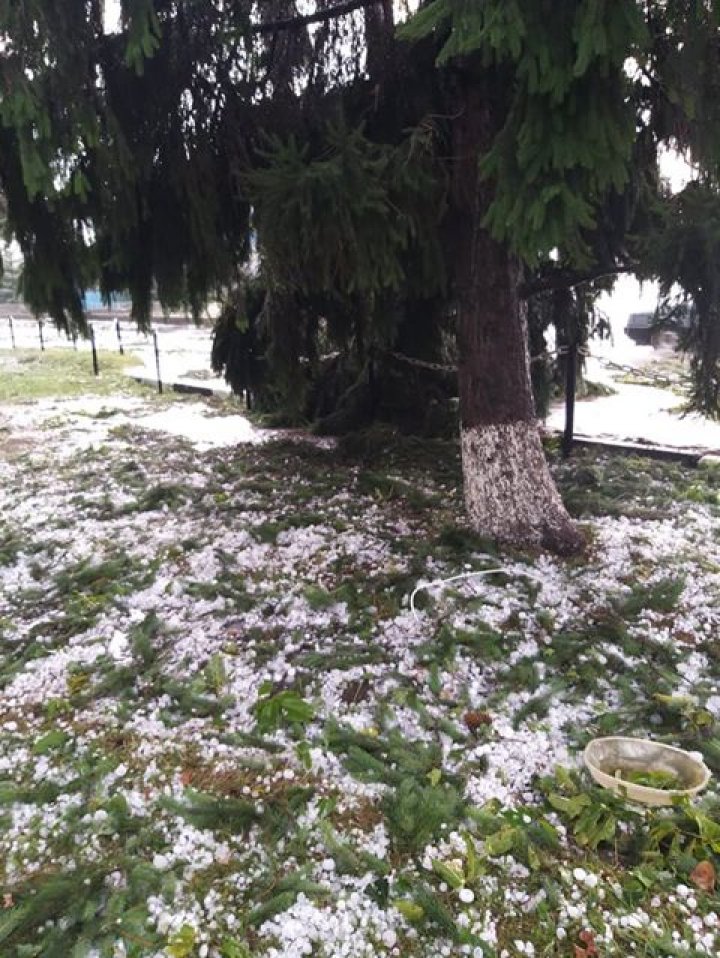 PRĂPĂD la Glodeni. O ploaie cu grindină a distrus totul în satul Camenca (IMAGINI SUMBRE)