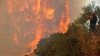 Incendiu de proporţii în Zakynthos. Sute de oameni au fost evacuaţi