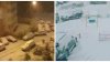 Orașul în care a nins: Localnicii s-au trezit cu mașinile înzăpezite (VIDEO)
