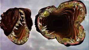 O creatură groaznică a pus pe jar internauţii. Ce este aceasta (VIDEO)