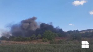 Incendiu la o fostă fermă din Cojușna. Trei autospeciale, la fața locului (FOTO/VIDEO)