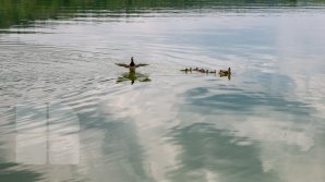 Vremea se schimbă în următoarele zile. Ploile pun stăpânire pe ţară