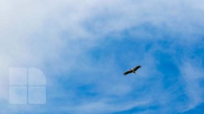 METEO 17 septembrie: Cum va fi vremea şi ce temperaturi ne aşteaptă