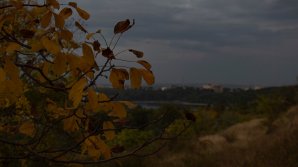 Avertizare meteo! COD GALBEN de îngheţ în toată ţara  