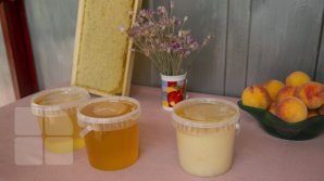 Un borcan de miere pentru fiecare carte citită. IDEEA INEDITĂ a unui cuplu din Rezina, care vrea să promoveze cititul 