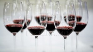 CHINA IUBEŞTE VINUL NOSTRU. Anual, Moldova vinde 5 milioane de sticle de vin