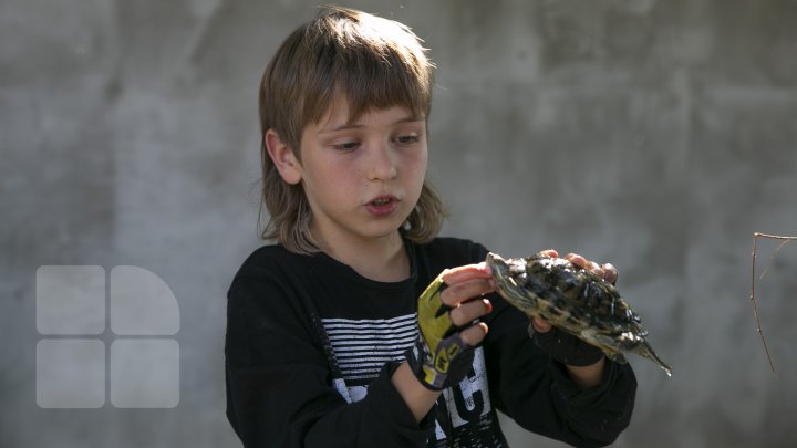 PASIUNEA NEOBIŞNUITĂ a unui copil din Cahul. Băiețelul de doar nouă ani crește șerpi (FOTO)