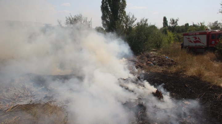 Incendiu de vegetație în sectorul Râșcani al Capitalei. Pompierii, la fața locului (FOTO)