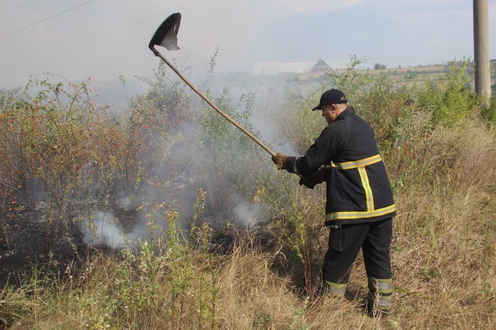 Incendiu de vegetație în sectorul Râșcani al Capitalei. Pompierii, la fața locului (FOTO)