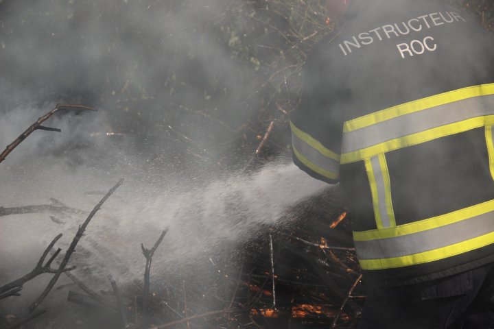 Incendiu de vegetație în sectorul Râșcani al Capitalei. Pompierii, la fața locului (FOTO)