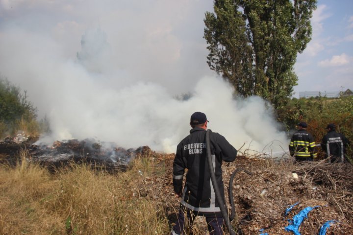 Incendiu de vegetație în sectorul Râșcani al Capitalei. Pompierii, la fața locului (FOTO)