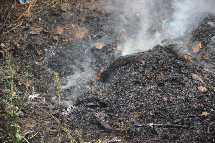 Incendiu de vegetație în sectorul Râșcani al Capitalei. Pompierii, la fața locului (FOTO)