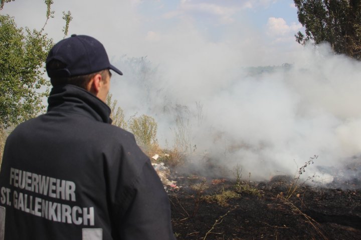 Incendiu de vegetație în sectorul Râșcani al Capitalei. Pompierii, la fața locului (FOTO)