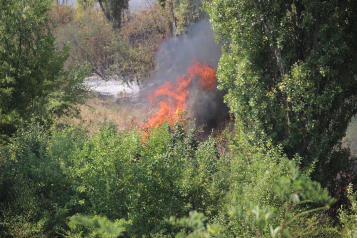 Incendiu de vegetație în sectorul Râșcani al Capitalei. Pompierii, la fața locului (FOTO)