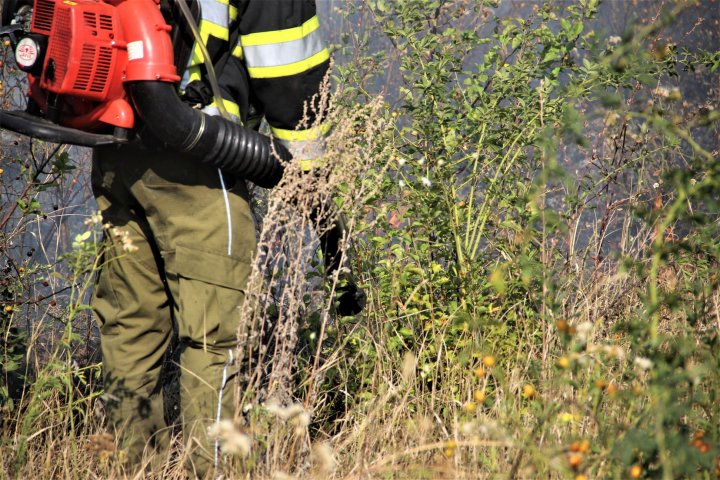 Incendiu de vegetație în sectorul Râșcani al Capitalei. Pompierii, la fața locului (FOTO)