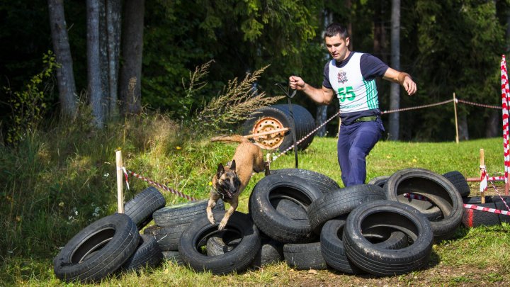 Echipele canine ale Poliției de Frontieră au obținut locuri de frunte la Biatlon ”Letonia 2019” (FOTO)