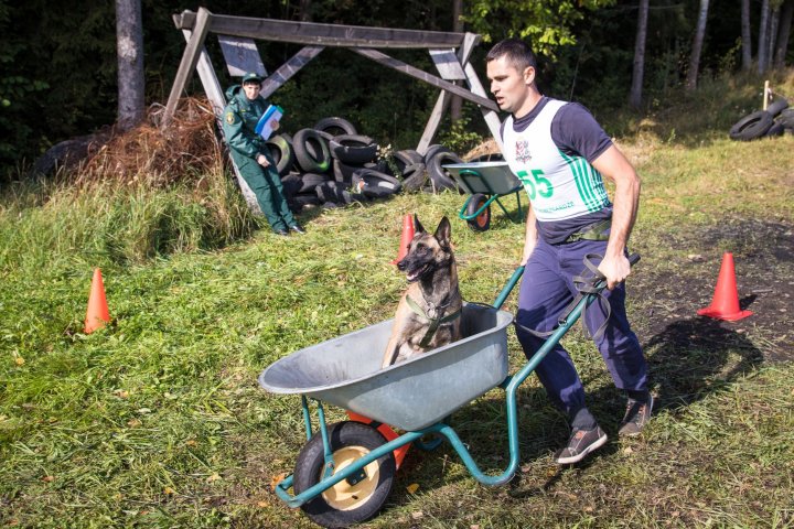 Echipele canine ale Poliției de Frontieră au obținut locuri de frunte la Biatlon ”Letonia 2019” (FOTO)