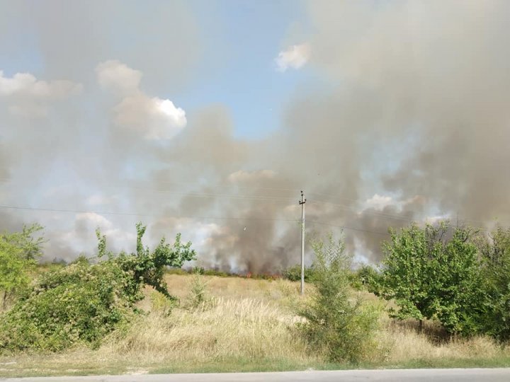 INCENDIU puternic în apropierea localităţii Dumbrava. Un câmp, mistuit de flăcări (VIDEO/FOTO)