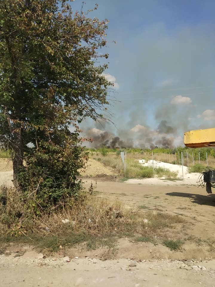 INCENDIU puternic în apropierea localităţii Dumbrava. Un câmp, mistuit de flăcări (VIDEO/FOTO)