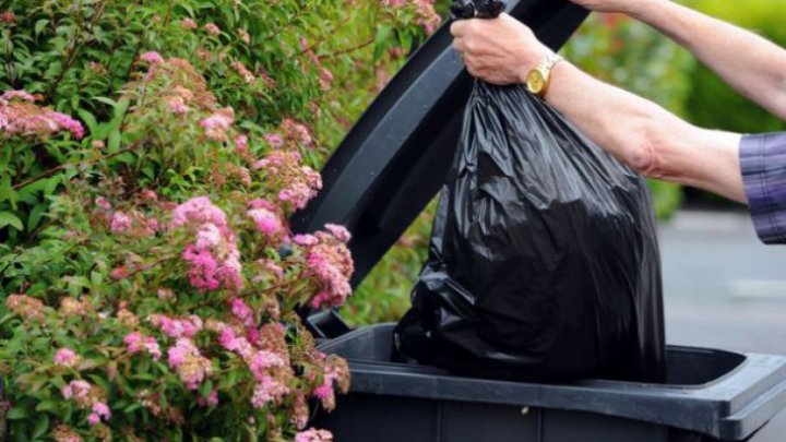 De ce nu este bine să duci gunoiul seara? Este mai rău decât credeai