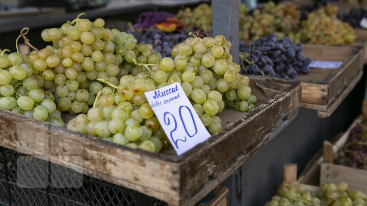 COȘUL PUBLIKA.MD. Cât costă cele mai importante produse alimentare în piețele din Capitală