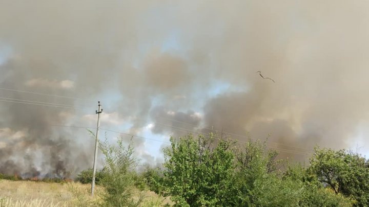 INCENDIU puternic în apropierea localităţii Dumbrava. Un câmp, mistuit de flăcări (VIDEO/FOTO)