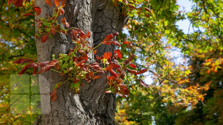 METEO DE WEEKEND: Codul galben de INCENDII rămâne valabil. Ce temperaturi vom avea  