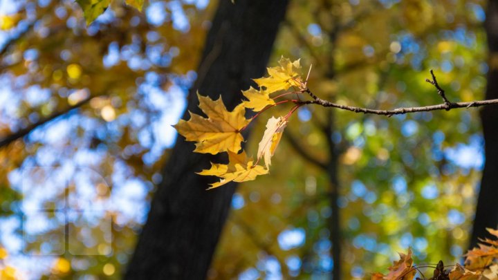 METEO 17 septembrie: Cum va fi vremea și câte grade vor indica termometrele  