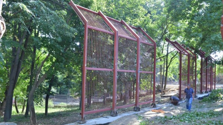 O nouă casă pentru urșii bruni de la Grădina Zoologică din Capitală. Când va fi gata voliera (FOTO)