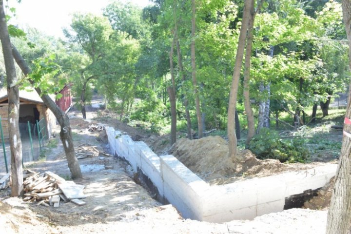 O nouă casă pentru urșii bruni de la Grădina Zoologică din Capitală. Când va fi gata voliera (FOTO)