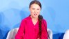 Ce spune activista Greta Thunberg despre criza climatică