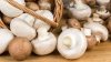 Adevărul nespus despre ciupercile Champignon din supermarketuri. Află cum trebuie preparate
