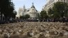 Protest sau tradiție? 700 de oi şi capre s-au plimbat prin centrul Madridului