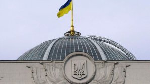 Incident în Rada Supremă de la Kiev. Un animal sălbatic a panicat personalul Legislativului
