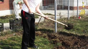 Descoperire într-o grădină din Căuşeni. Un bărbat a găsit un obuz şi un pistol