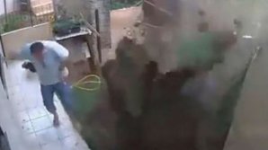 Un bărbat a vrut să scape de gândaci, dând foc cuibului, dar şi-a aruncat grădina în aer (VIDEO)