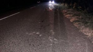 Sfârşit tragic la Orhei! Un bărbat a fost LOVIT MORTAL de o mașină. Şoferul a fugit