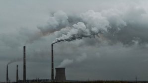 Oamenii de ştiinţă au creat un material care transformă dioxidul de carbon în materie organică