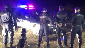 Microbuz ticsit cu ţigarete, depistat de poliţiştii de frontieră. Cine era la volanul vehiculului (VIDEO)