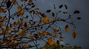 Un VAL DE AER POLAR se îndreaptă spre România. Temperaturile vor scădea dramatic şi în Republica Moldova