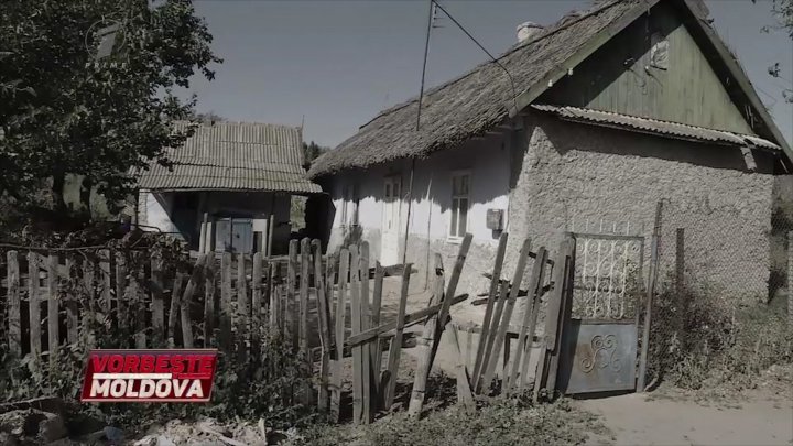 "Grădina morții" de la Purcari. Cine este individul care culegea vieți de oameni, astăzi la Vorbește Moldova